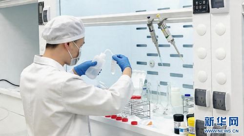 聚焦高質量發展丨不止好看 洛陽牡丹撐起黃金產業鏈